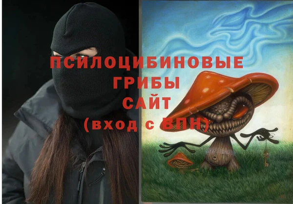 стафф Дмитровск